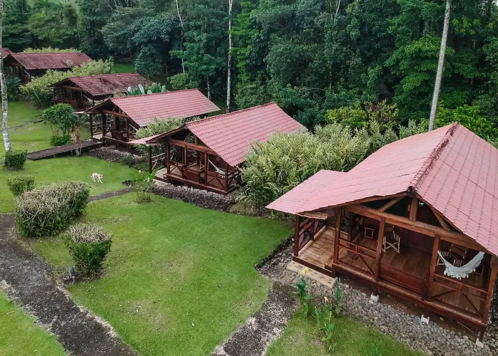 La Anita Rain Forest